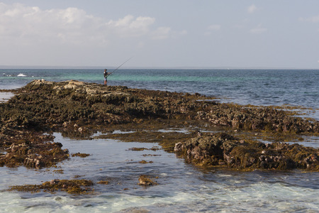 with its powder-white sands, crystal clear waters, forests, woodlands and wetlands, parts of this south coast park seem untouched by people.の写真素材