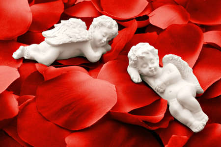 Two angels sleeping in valentine rose petalsの写真素材