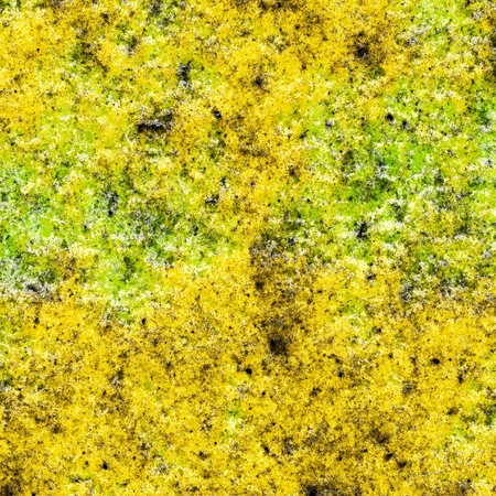 Background texture of an old paintの写真素材