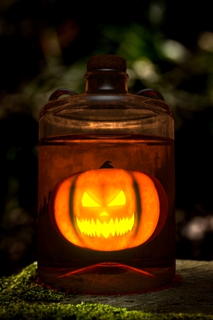 Pumpkin in a jar, on a dead tree with mossの写真素材