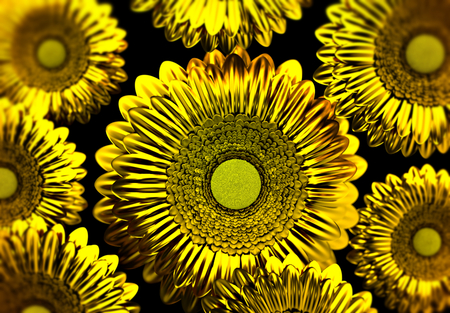 Close-up on golden sunflowersの写真素材