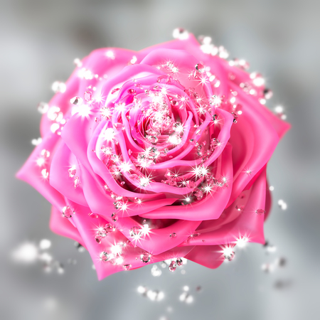 Close-up on a pink flower with diamondsの写真素材