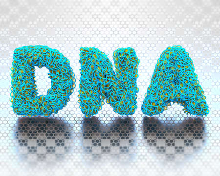 The word DNA made of compacted DNA ribbons, on a gray glossy backgroundの写真素材