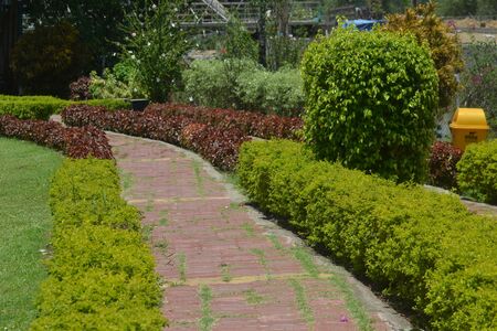 A garden is a planned space, usually outdoors, set aside for the display, cultivation, or enjoyment of plants and other forms of nature.の写真素材