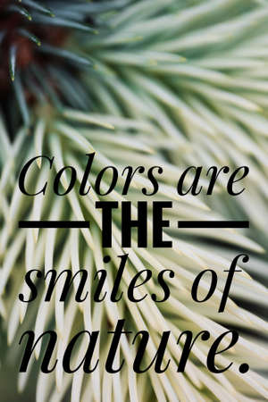 Inspirational and Motivational Quotes.の写真素材