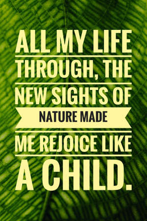 Inspirational and Motivational Quotes.の写真素材