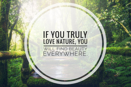 Inspirational and Motivational Quotes.の写真素材