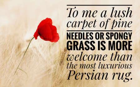 Inspirational and Motivational Quotes.の写真素材