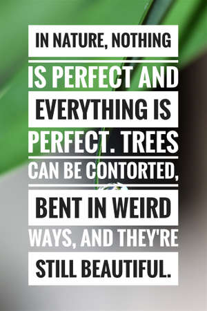 Inspirational and Motivational Quotes.の写真素材