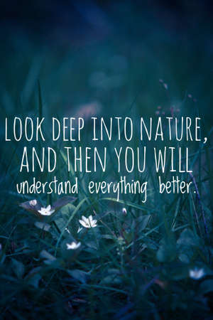 Inspirational and Motivational Quotes.