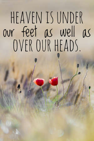 Inspirational and Motivational Quotes.