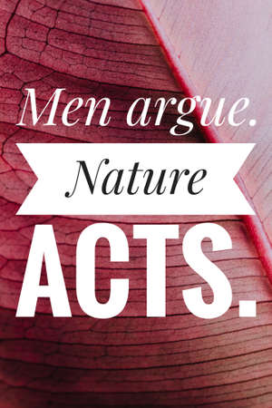 Inspirational and Motivational Quotes.の写真素材