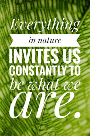 Inspirational and Motivational Quotes.の写真素材