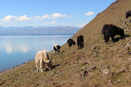 landscapeの写真素材