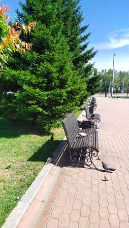 Summer park in the city of Irkutsk