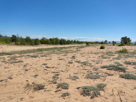 Sandy shore of Lake Baikal in Julyの写真素材