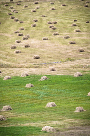 Bale of hay on field.の写真素材