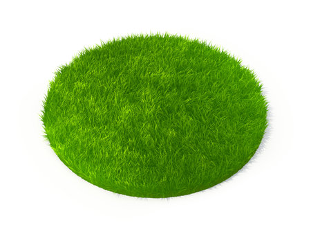 Vibrant Green Grass Circle on White Backgroundの写真素材