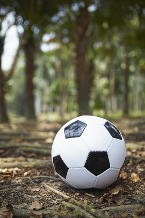Soccer ball on a groundの写真素材