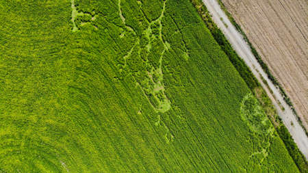 Grassland grass sky aerial photography