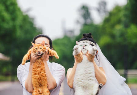 Two people holding cute kittensの写真素材