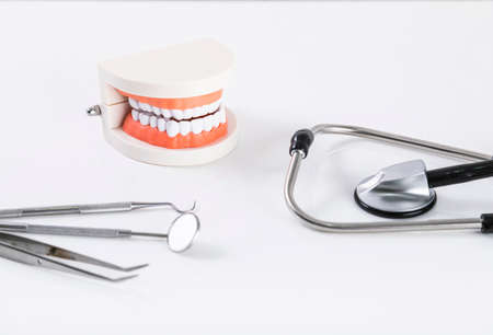 Tooth model and dental instruments