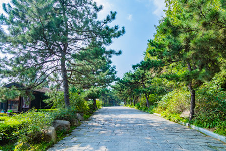 Scenery of Panshan Scenic Area in Jixian County, Tianjin, Chinaのeditorial素材