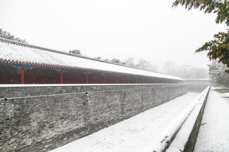 The scenery of Beijing Tiantan Park under snowのeditorial素材