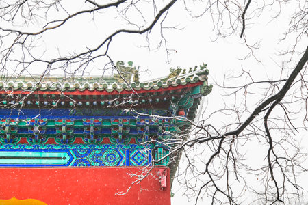 The scenery of Beijing Tiantan Park under snowのeditorial素材