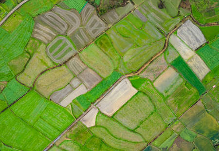 Aerial scenery of rural fields in southern Jiangxiの写真素材