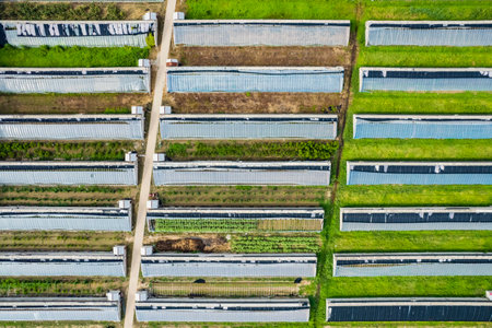 Aerial view of greenhouses with rows of solar panels in Polandの写真素材