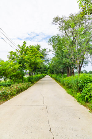 Road in the park with green trees and blue sky background, Thailand.の写真素材