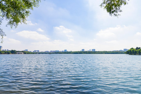 landscape of a lake in a park under a blue cloudy skyの写真素材