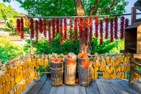 Hot chili peppers hanging on the rope in the garden, Thailand.の写真素材