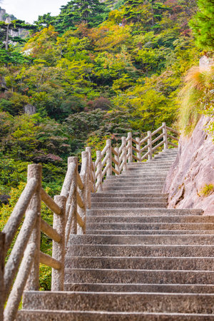 Wooden stairs in the park at autumn season, Nagano, Japanの写真素材