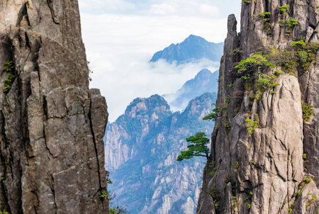 Mountain landscape view of Huangshan National Park, China.の写真素材