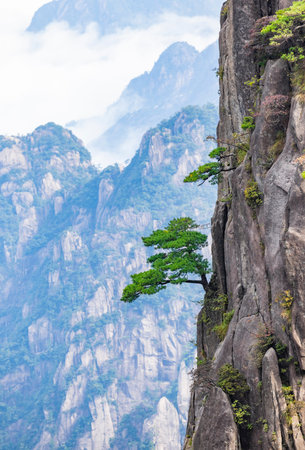 Mountain landscape in Huangshan City, Anhui Provinceの写真素材