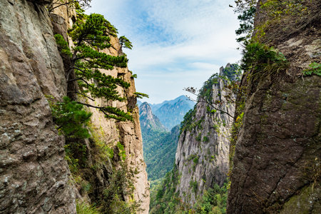 Mountain landscape in Huangshan National Park, Anhui Province, Chinaの写真素材