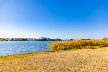 Autumn landscape with a lake and yellow grass under the blue skyの写真素材