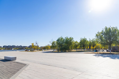 Urban landscape, empty square floor and trees in a park, Chinaの写真素材