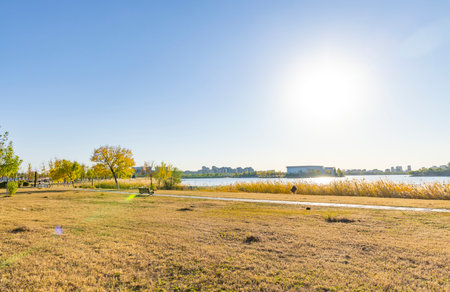 Autumn landscape in a park with the lake and the sun.の写真素材