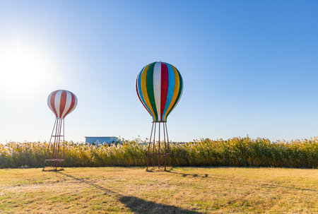 Colorful hot air balloons flying in the blue sky over a fieldの写真素材