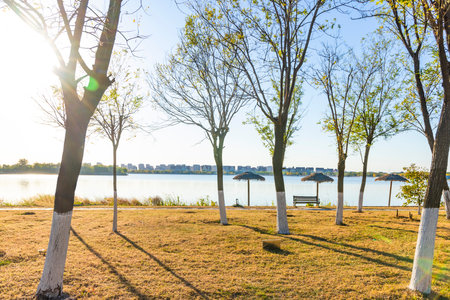 Beautiful outdoor landscape with lake and tree in city park at sunset timeの写真素材