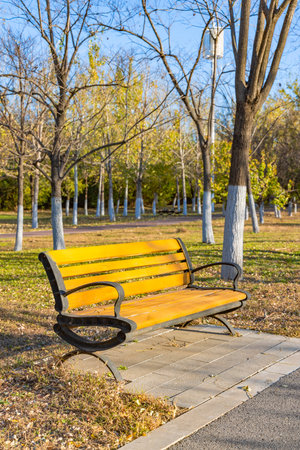 Wooden bench in the park at sunny autumn day, Thailand.の写真素材