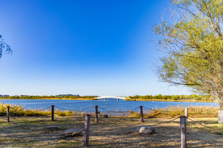 Landscape view of the lake in the park in a sunny dayの写真素材