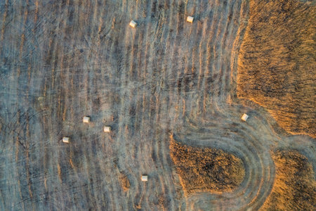 Top view of wood texture background. Close up of wooden surface.の写真素材