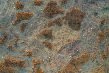 Close-up of the surface of the water in the lake.の写真素材