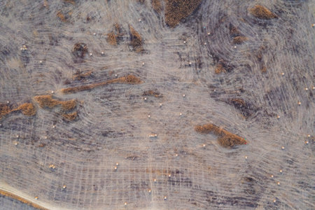 Wooden texture for background. Close-up image of a wooden surface.の写真素材