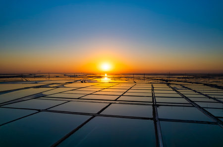 Sunset in a solar power plant, closeup of photo.の写真素材