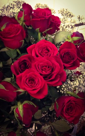 Bouquet of red rosesの素材